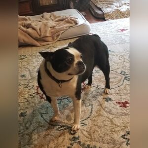 Meet your Posher, Posh